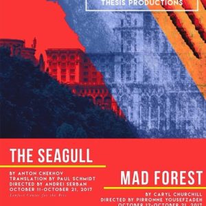 The Seagull Mad Forest